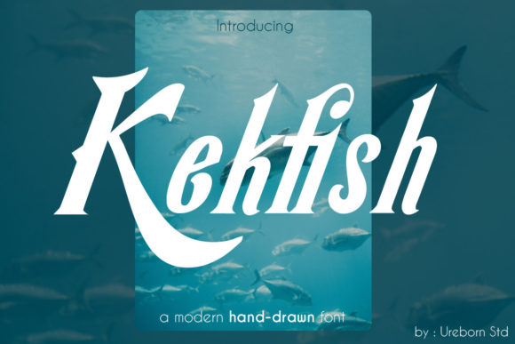 Kekfish Font: Bold Display Typography for Campaigns