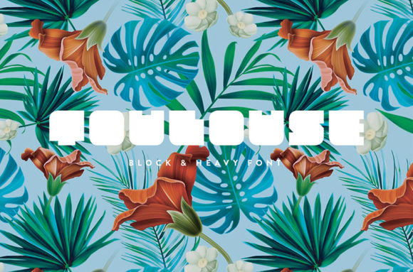 Make Your Brand Stand Out with the Toulouse Display Font