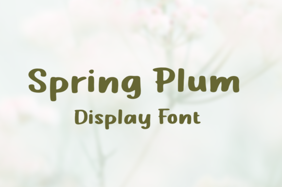 Spring Plum: A Display Font That Elevates Campaign Visuals